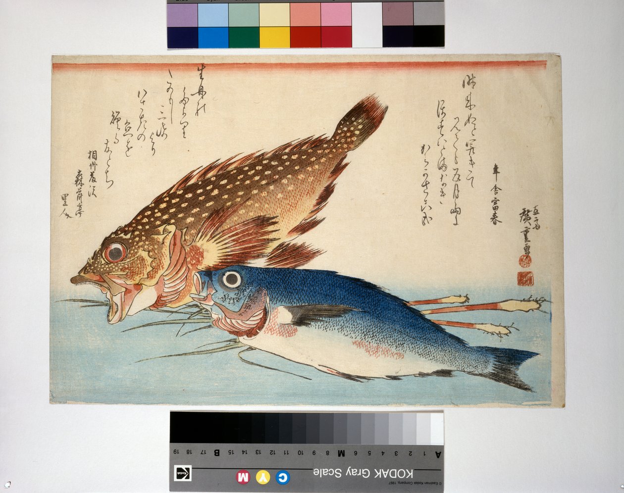 Ryba škorpion a ryba isaki s kořenovým zázvorem od Ando or Utagawa Hiroshige