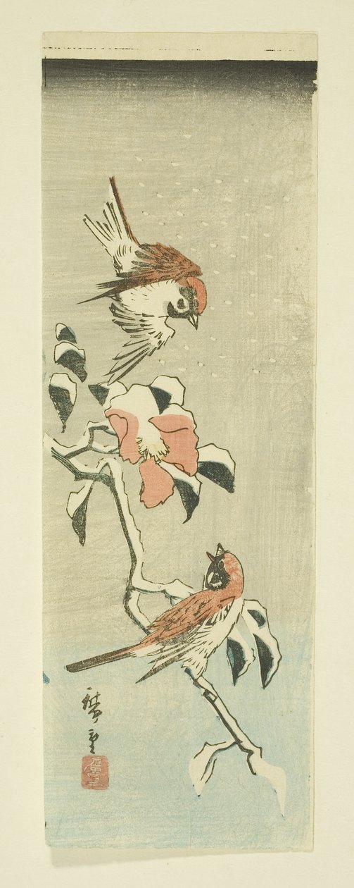 Vrabci a kamélie ve sněhu (barevný dřevotisk) od Ando or Utagawa Hiroshige