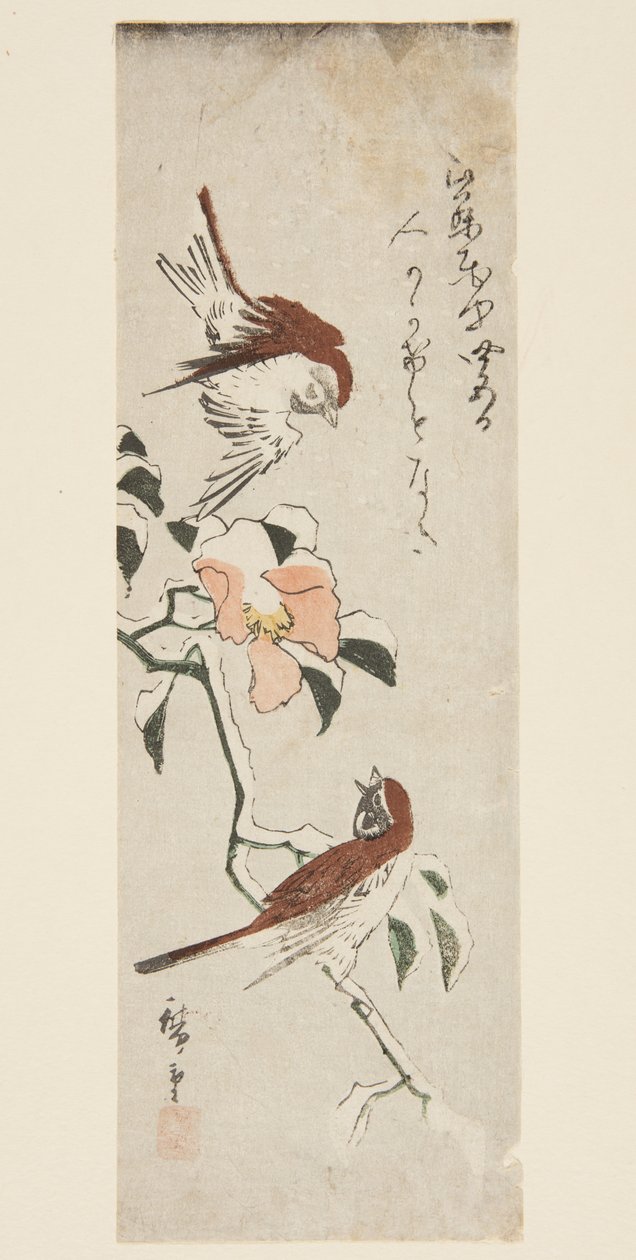 Vrabci a kamélie ve sněhu (barevný dřevotisk) od Ando or Utagawa Hiroshige