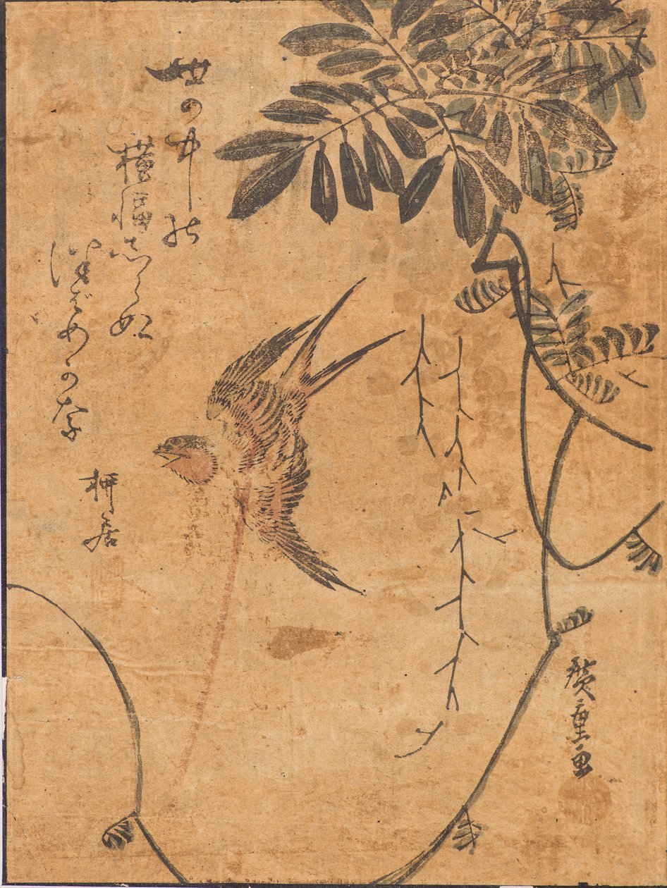 Studium ptáků v letu a rostlin od Ando or Utagawa Hiroshige