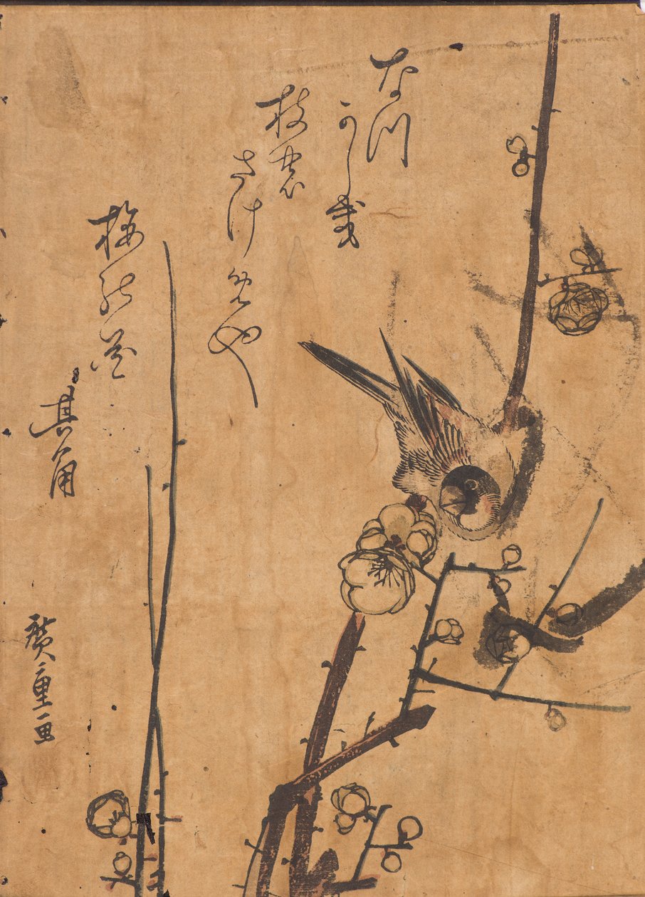 Studie ptáka sedícího na větvi od Ando or Utagawa Hiroshige