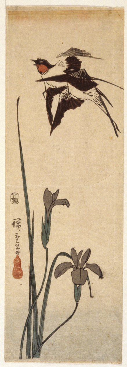 Vlaštovky a kosatec (barevný dřevořez) od Ando or Utagawa Hiroshige