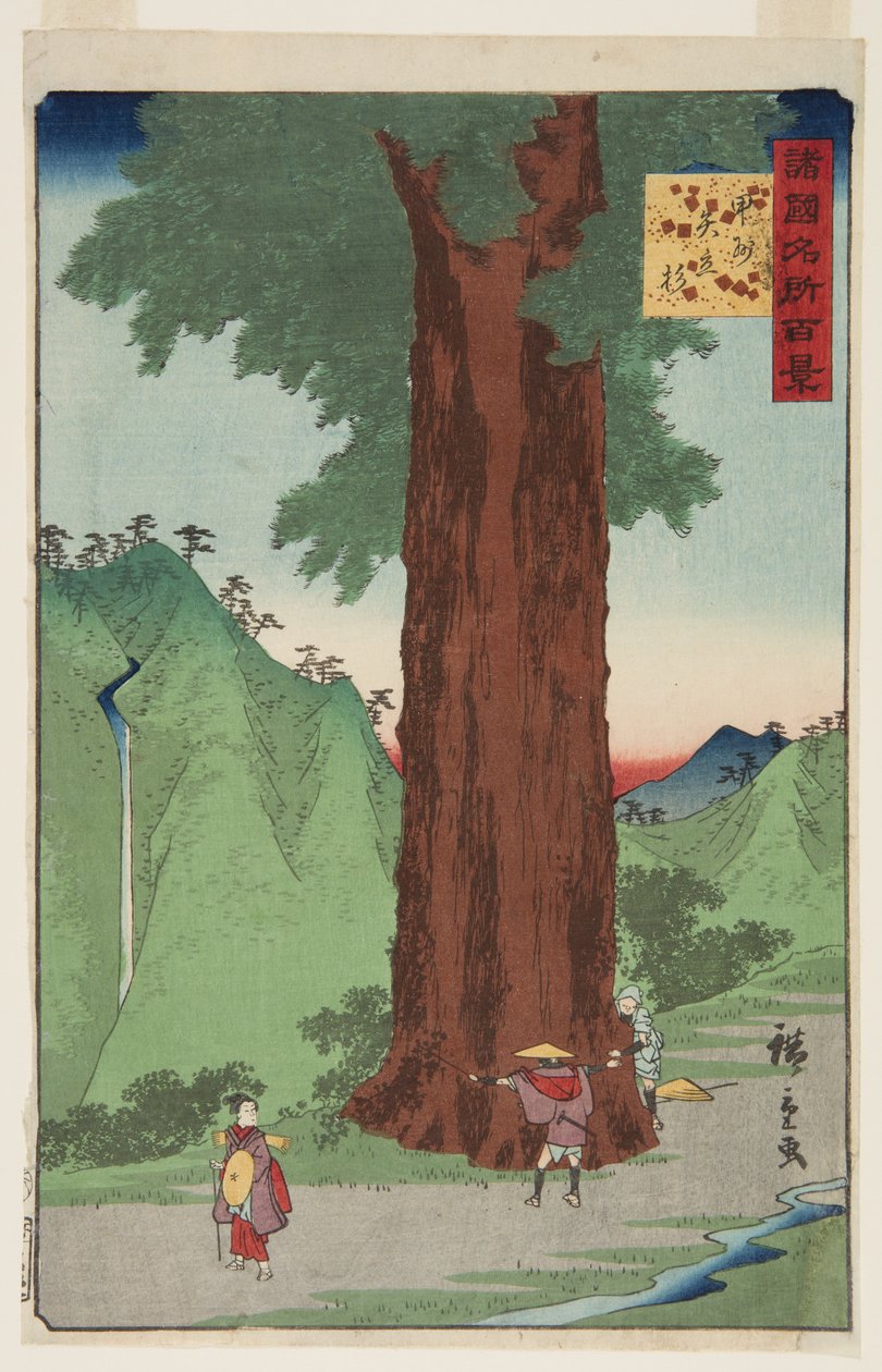 Cedrový strom Yatate v provincii Kai (K?sh? Yatate sugi) (barevný dřevěný tisk) od Ando or Utagawa Hiroshige