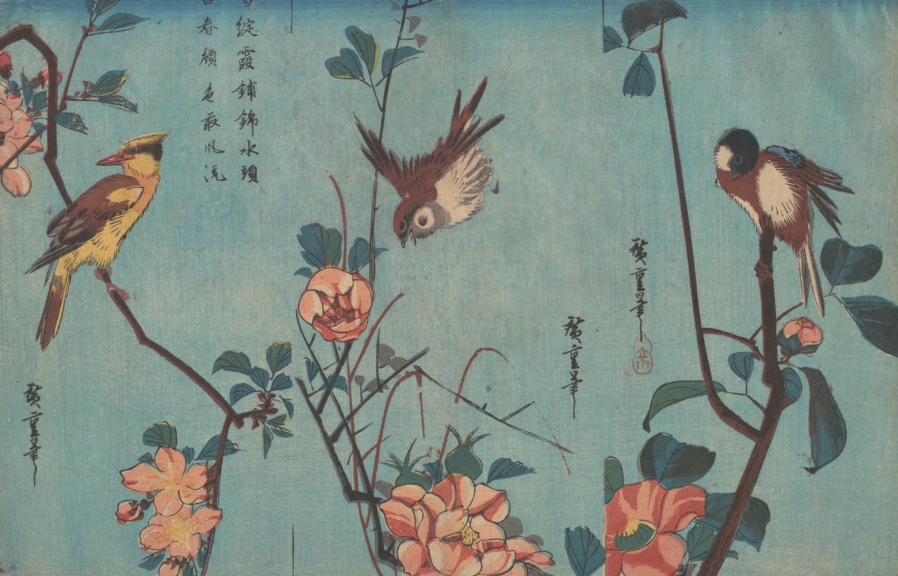 Sýkora a kamélie, vrabec a divoké růže a žluva a třešňové květy, kolem roku 1833 (dřevotisk) od Ando or Utagawa Hiroshige