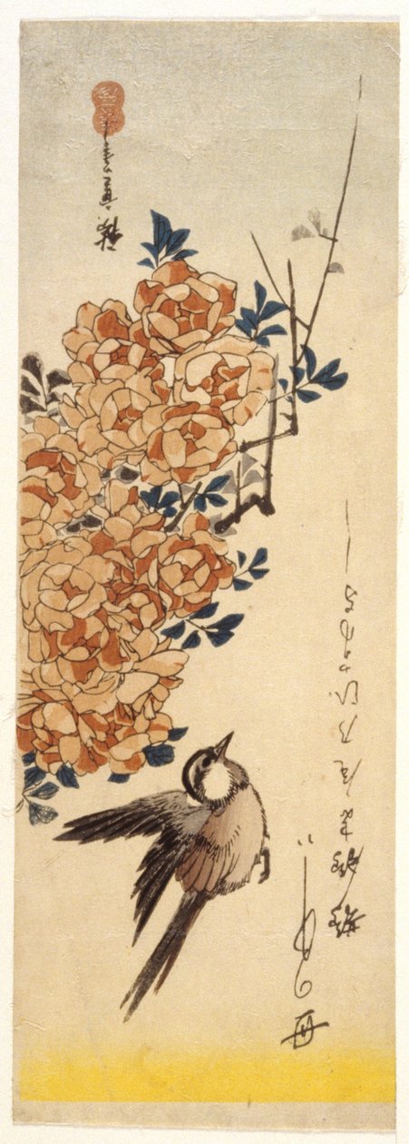 Konipas a růže (barevný dřevořez) od Ando or Utagawa Hiroshige