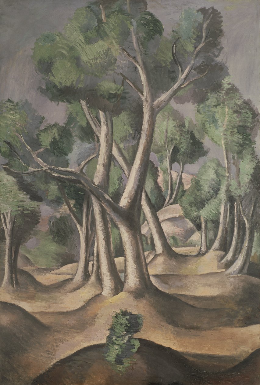 Háj od Andre Derain