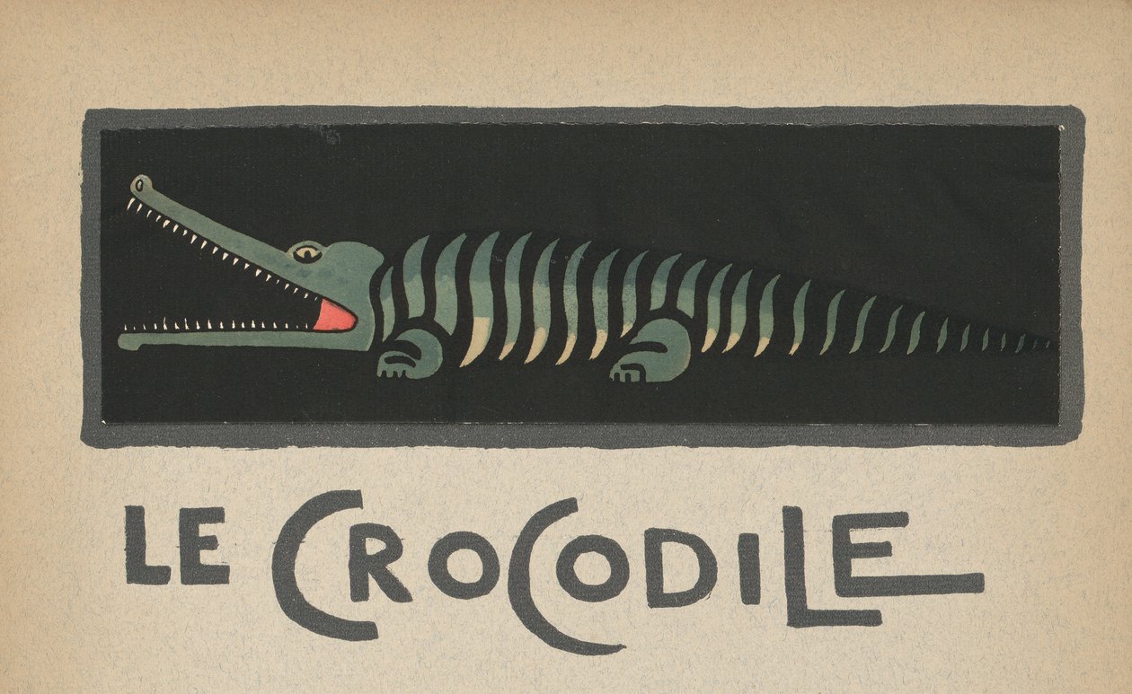 Krokodýl