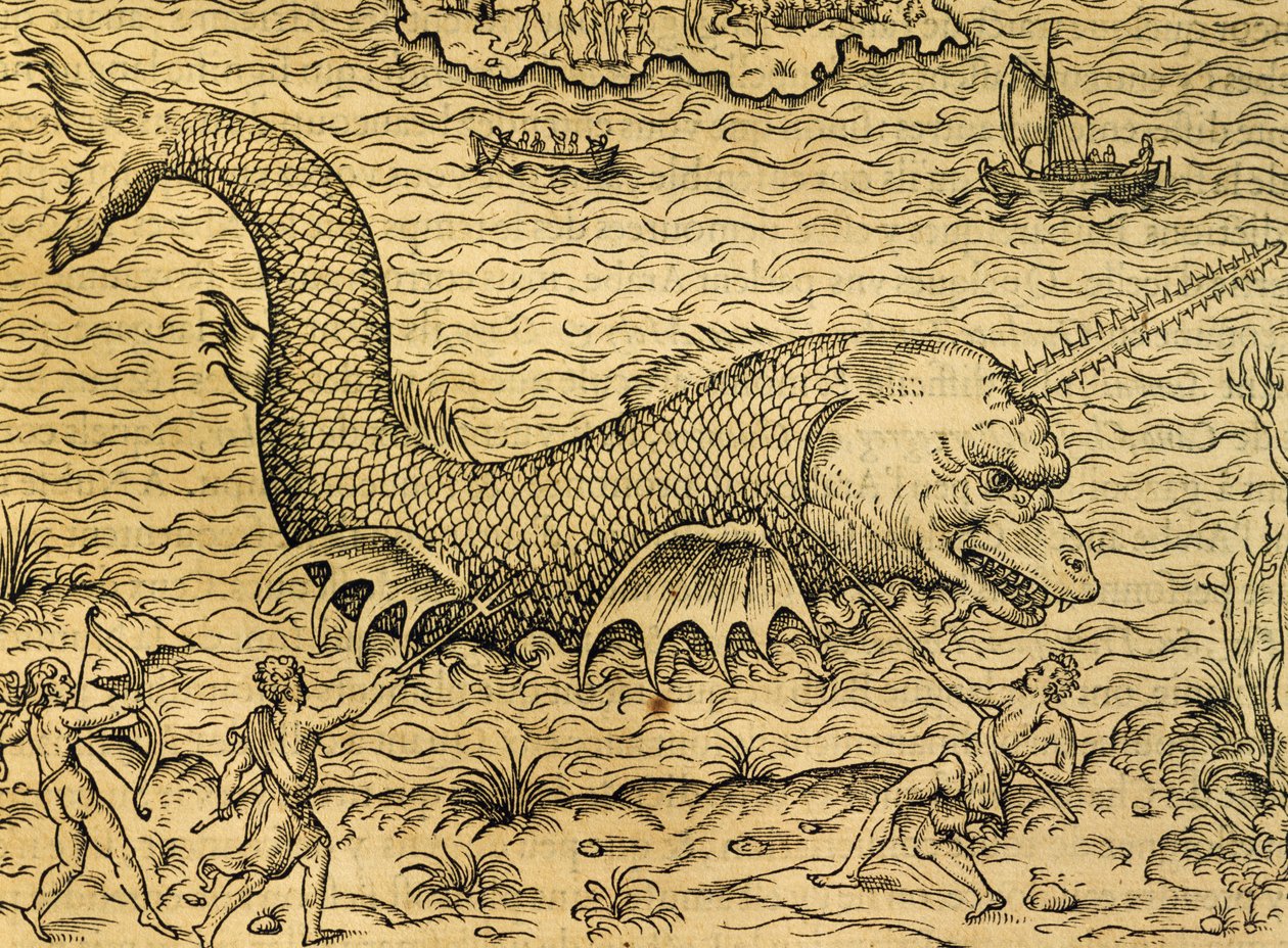 Mořská příšera, rytina z Universal Cosmology, Andre Thevet (1504-1592), Paříž od Andre Thevet