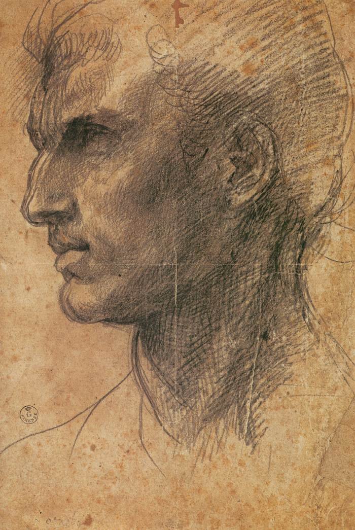 Hlava muže v profilu tváří doleva od Andrea del Sarto