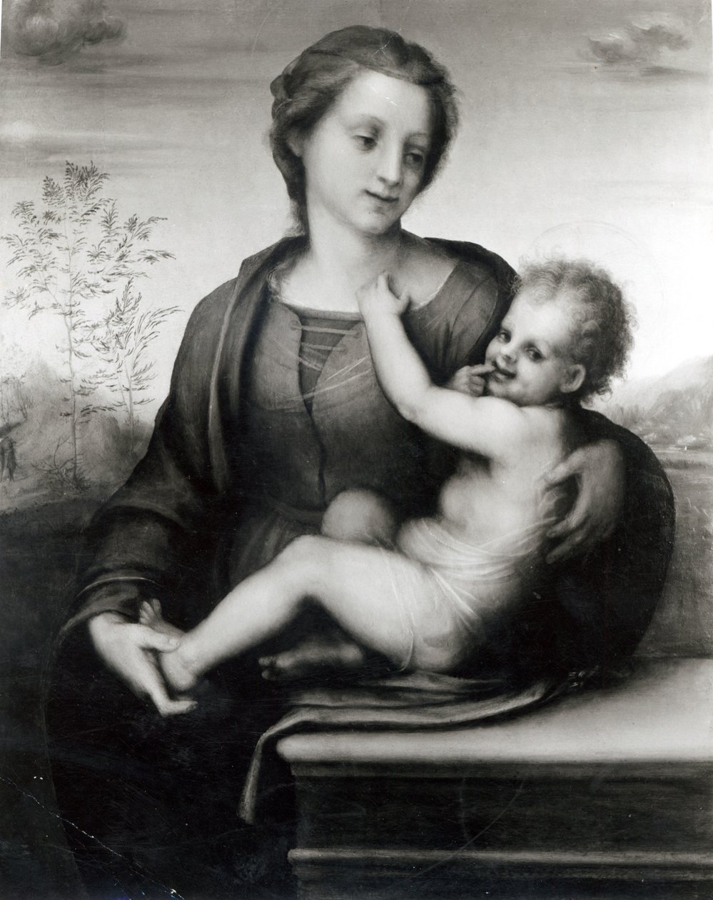 Madonna a dítě (panel) od Andrea del Sarto
