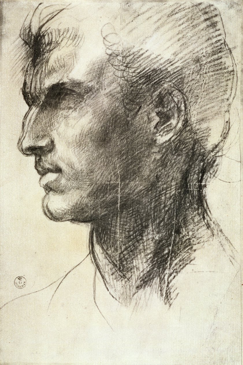 Studie mužské hlavy (uhlí na papíře) od Andrea del Sarto