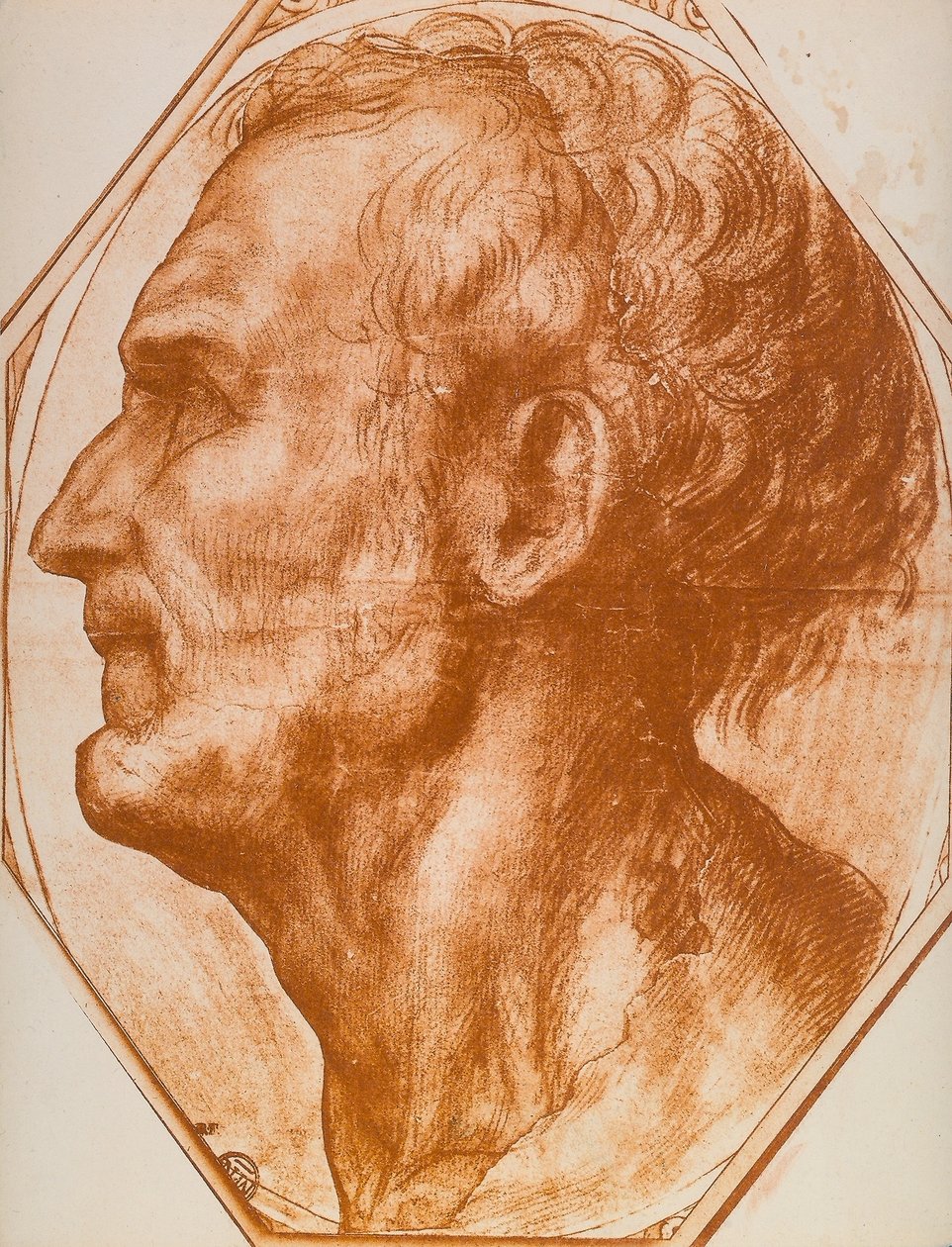 Studie mužské hlavy; kresba od Andrea del Sarto