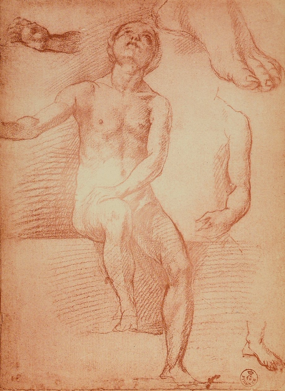 Studie nahé postavy a lidských končetin, kresba Andrea del Sarto. Kabinet kreseb a tisků, Galerie Uffizi, Florencie od Andrea del Sarto