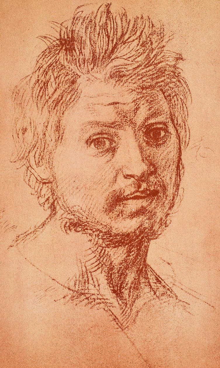 Mužská hlava od Andrea del Sarto