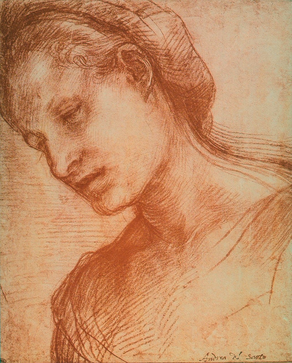 Hlava ženy od Andrea del Sarto