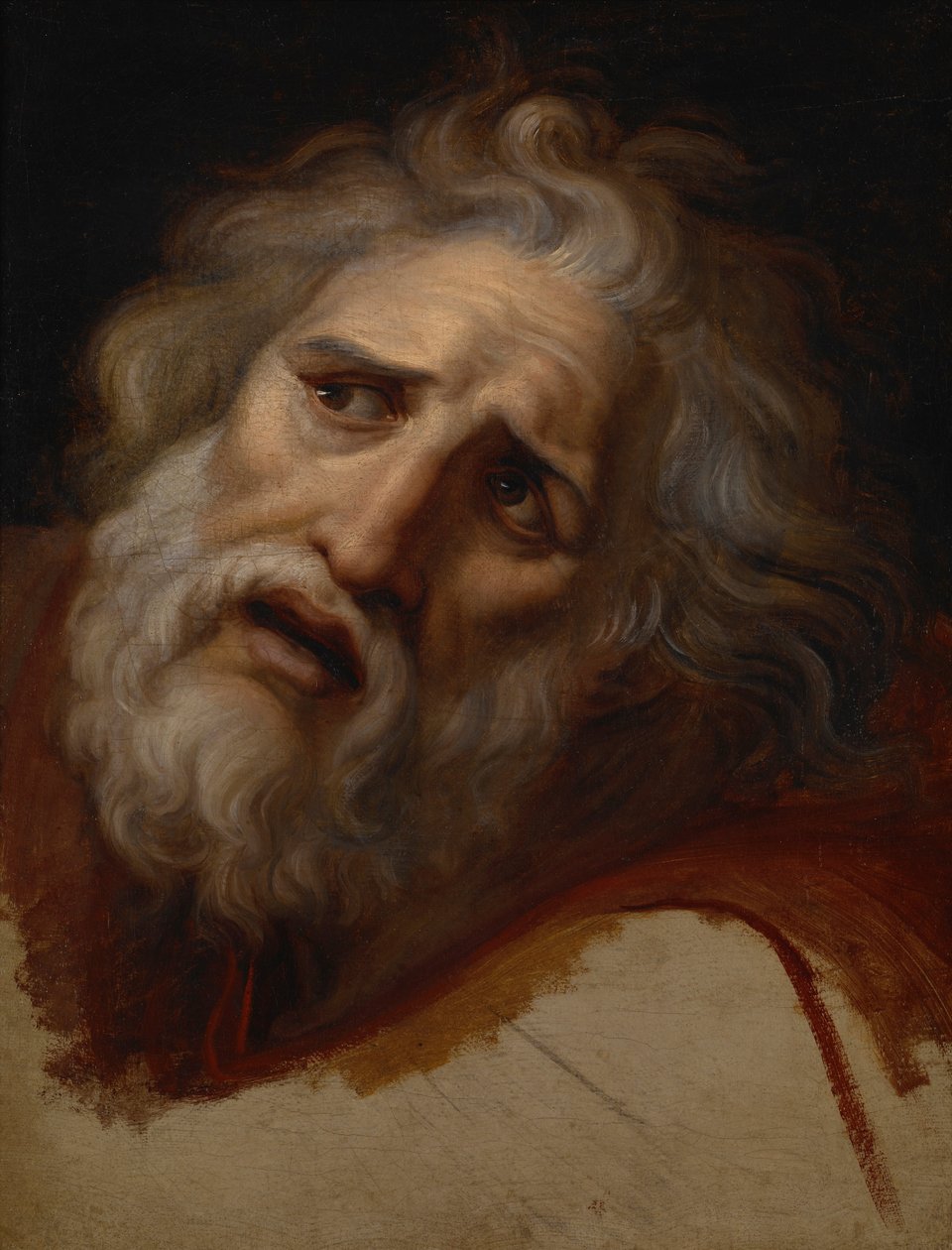 Hlava Laocoonu od Andrea the Elder Appiani