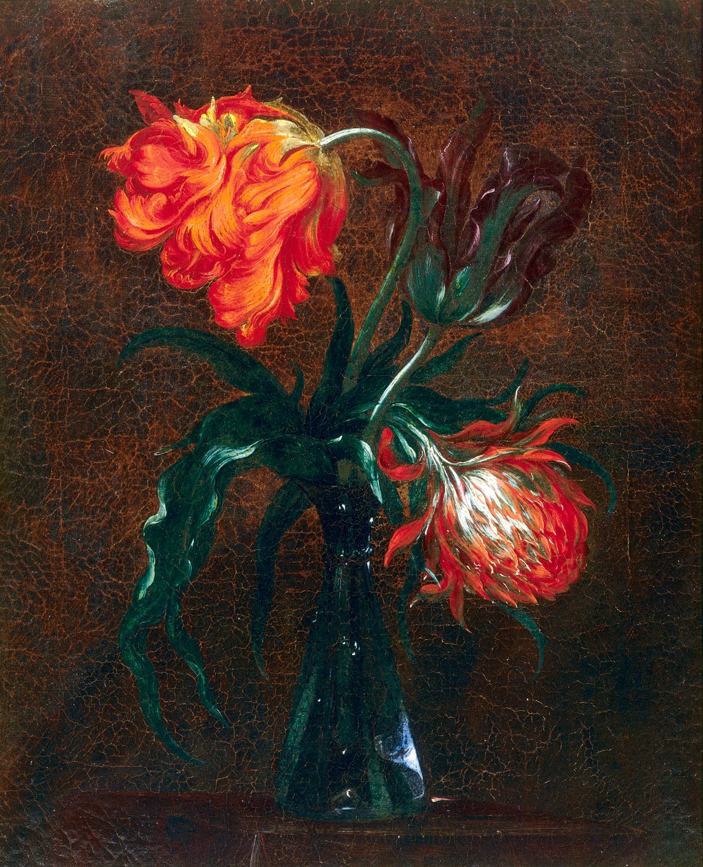 Skleněná váza se dvěma tulipány od Andrea the Elder Scacciati