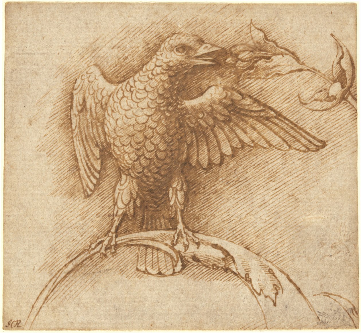 Pták posazený na větvi s ovocem od Andrea Mantegna