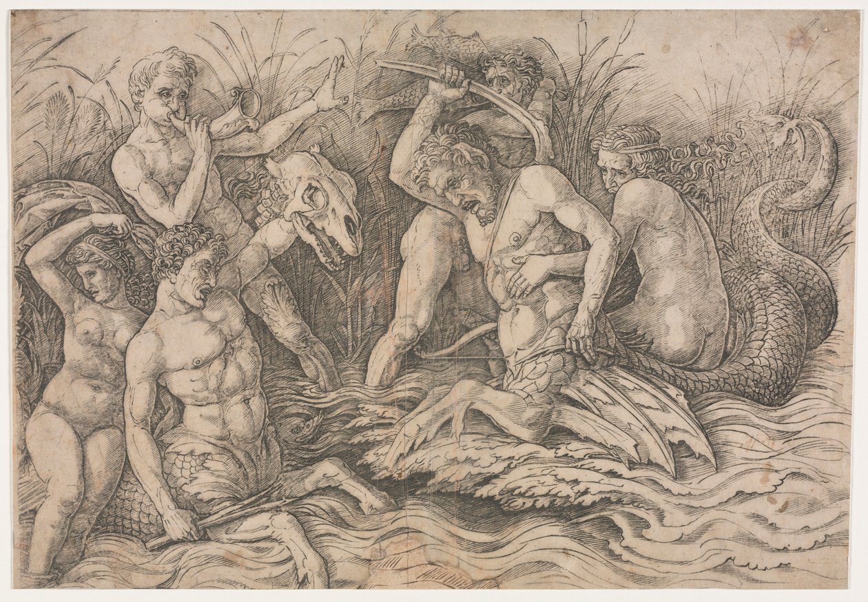 Bitva bohů moře - pravá část, c. 1485-88. od Andrea Mantegna