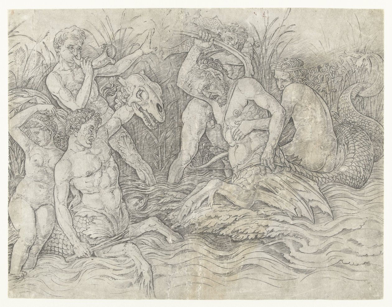 Bitva mezi tritony s nereidami na zádech Bitva mořských bohů od Andrea Mantegna