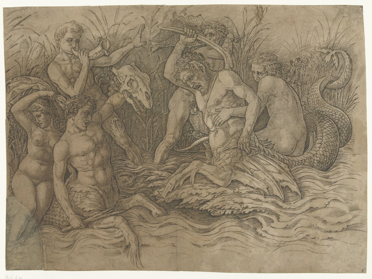Bitva mezi tritony s nereidami na zádech Bitva mořských bohů od Andrea Mantegna