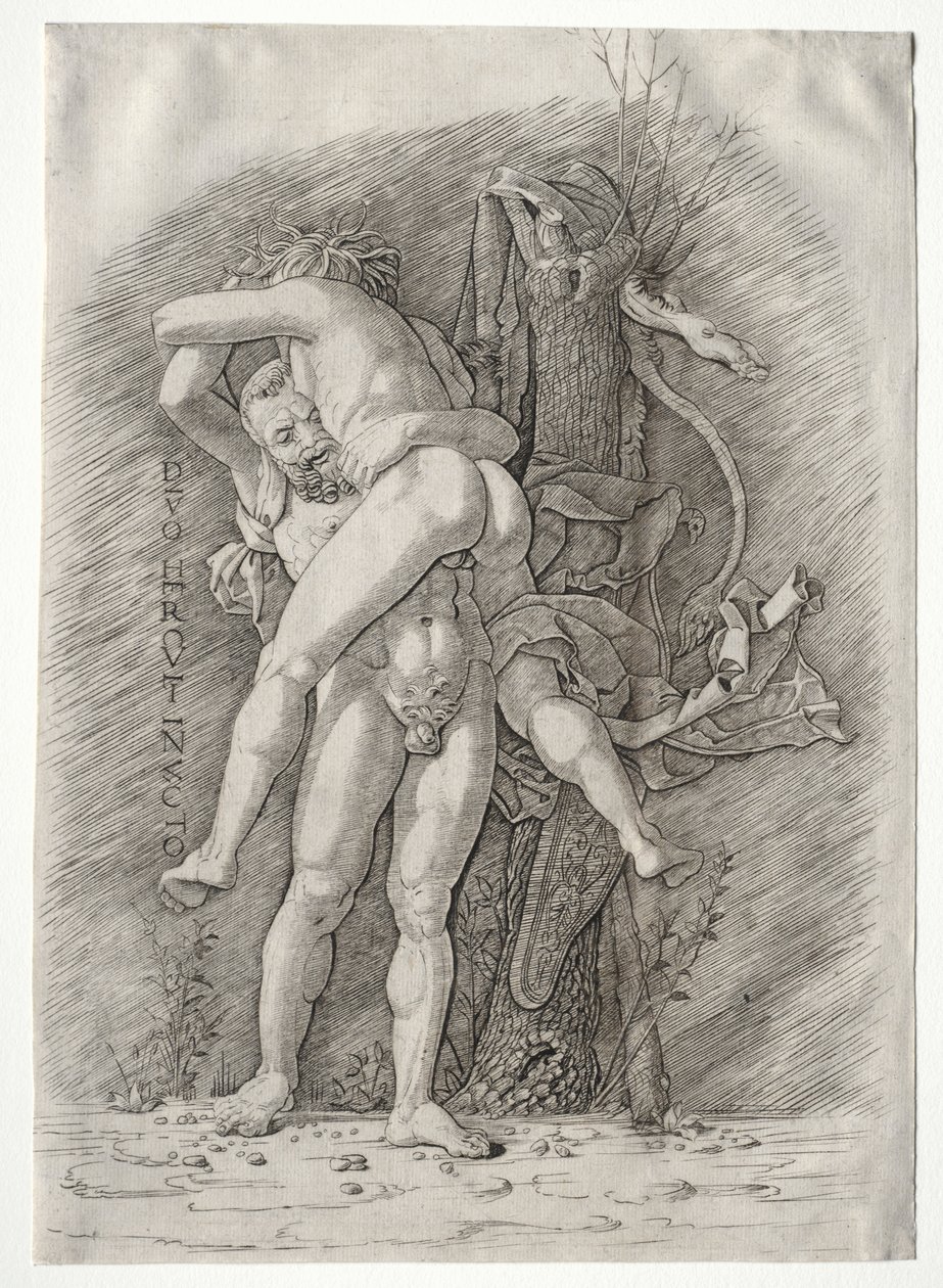 Herkules a Antaeus, 1400s. od Andrea Mantegna
