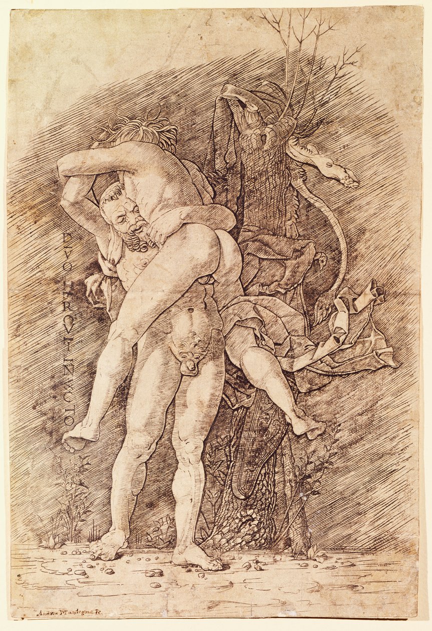 Herkules a Antaeus, Andrea Mantegna (1431-1506), kresba. od Andrea Mantegna
