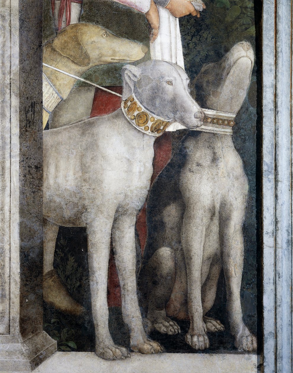 Molossští psi, detail z Meeting Wall od Andrea Mantegna