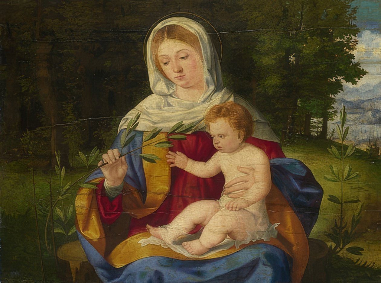 Madonna a dítě s olivovou ratolestí. kolem roku 1515 od Andrea Previtali