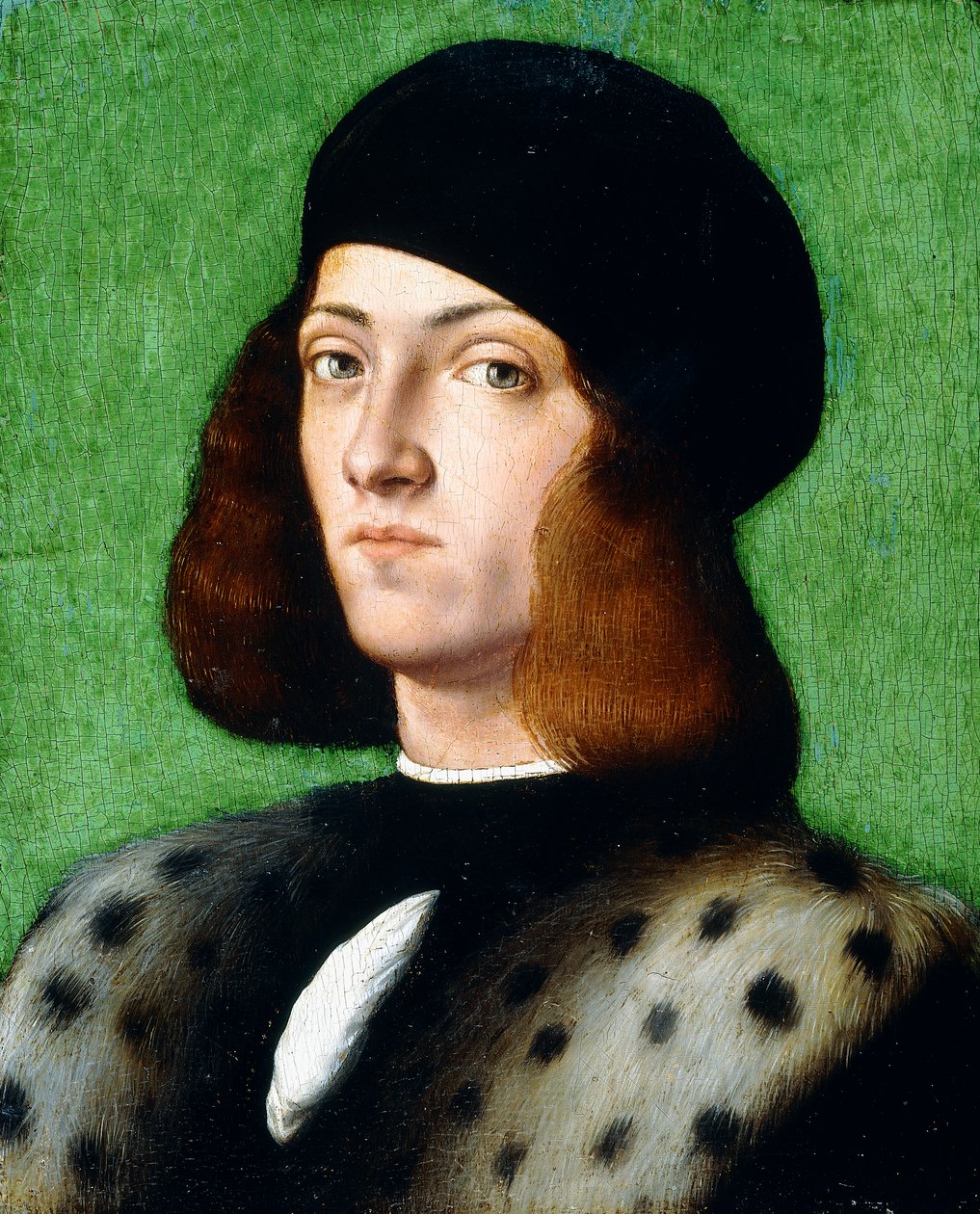 Portrét mladého gentlemana, po prsa, v černé čepici a černém kabátě, 1506 od Andrea Previtali