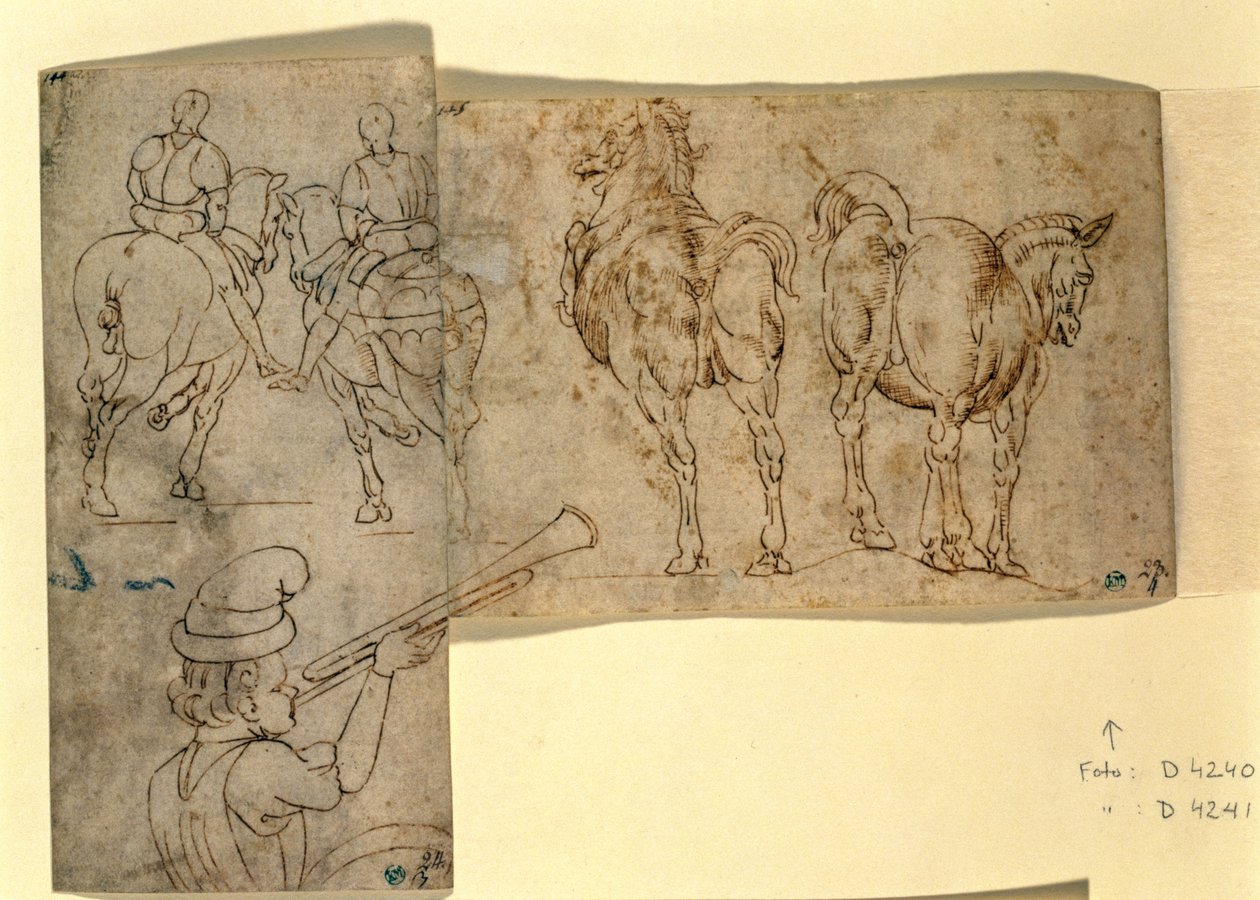 Inv. č. 38 recto Náčrt koní, k.ú. 1460-70 (pero a inkoust) od Andrea Verrocchio