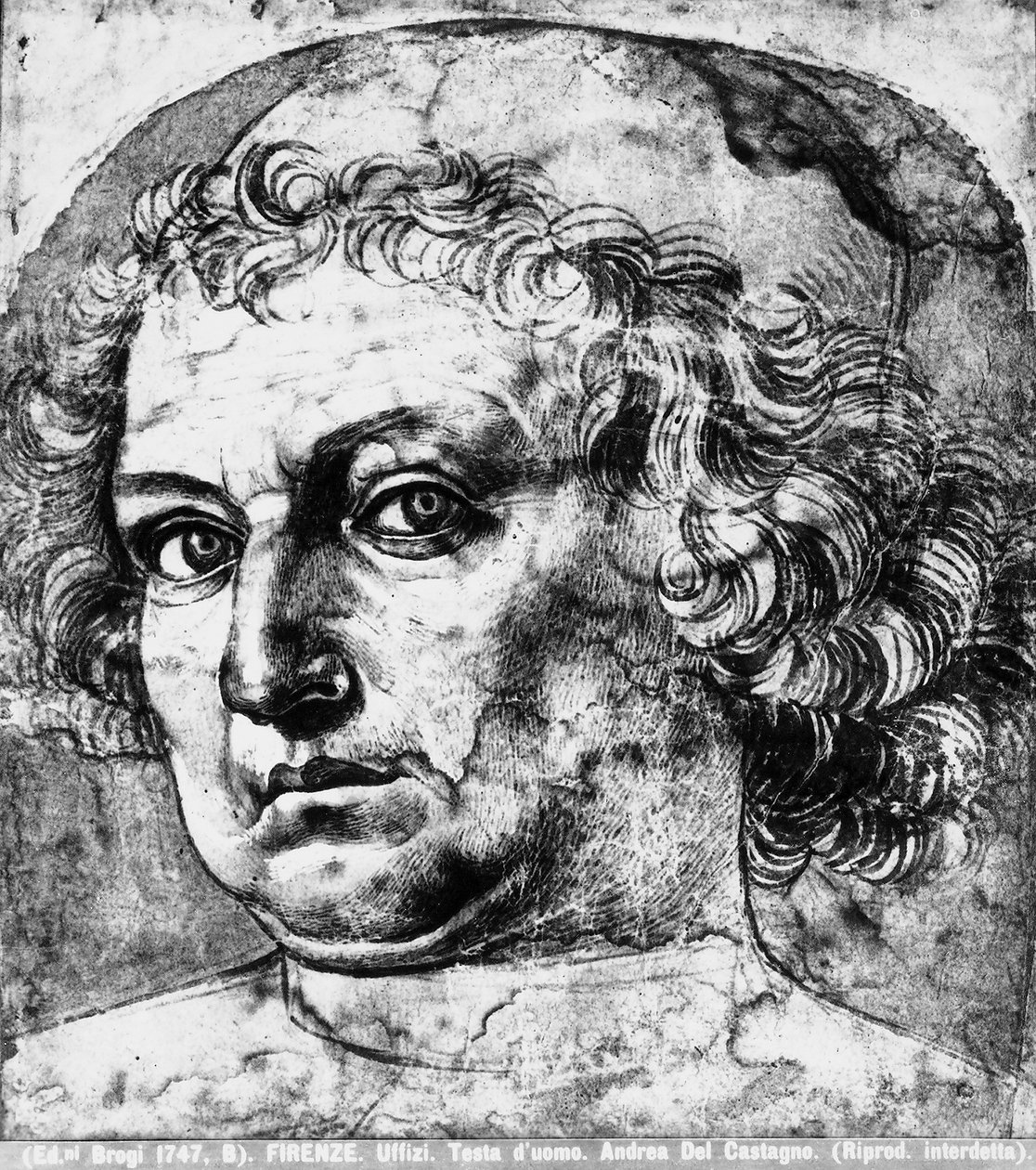 Mans head, nebo portrét Andrea del Verrocchio, c.1450 od Andrea del Castagno