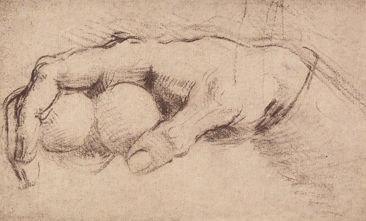 Ruka; výkres od Andrea del Sarto