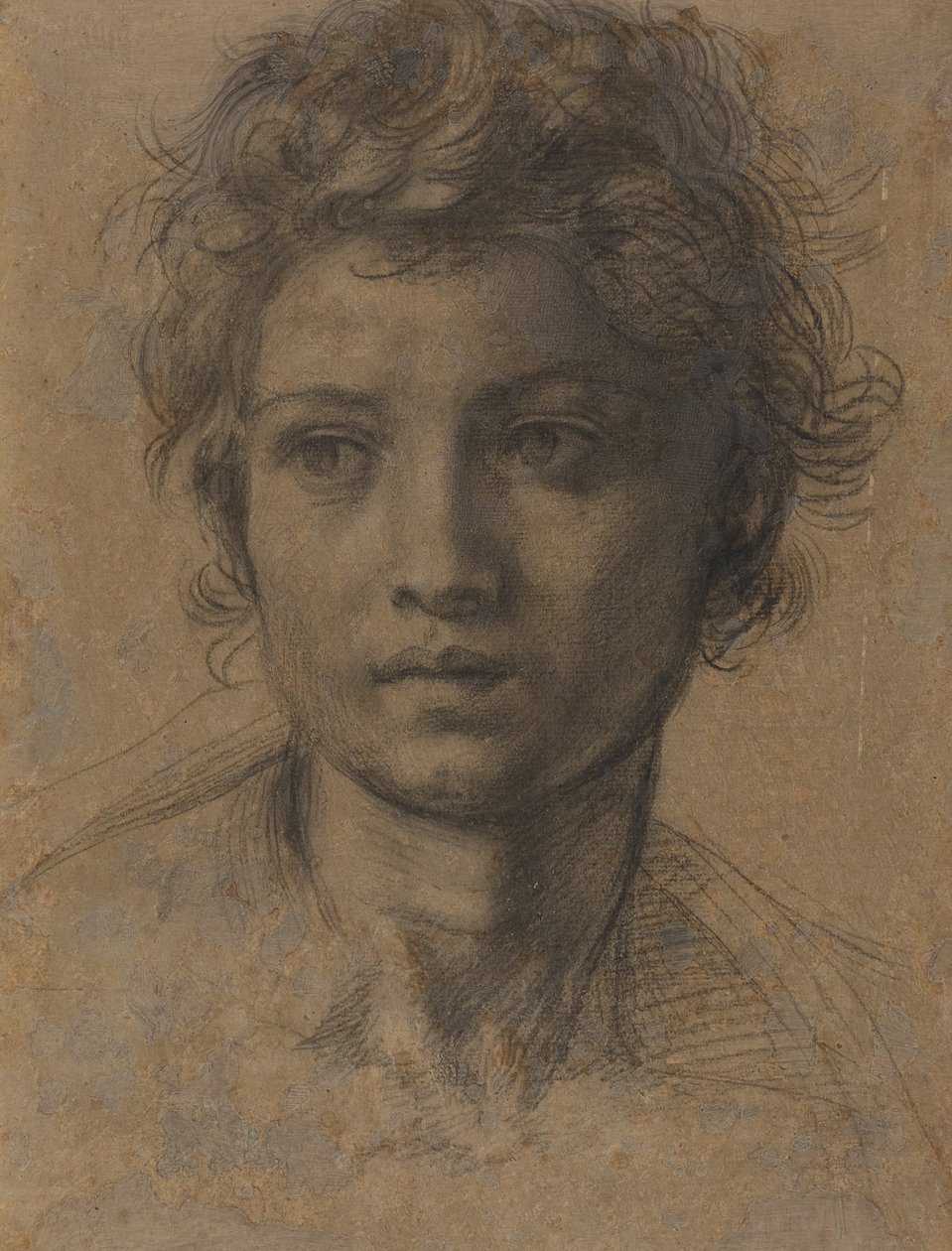 Hlava svatého Jana Křtitele od Andrea del Sarto