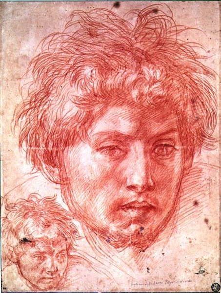 Hlava muže (červená křída na papíře) od Andrea del Sarto