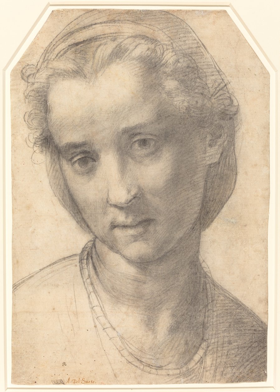 Hlava ženy od Andrea del Sarto
