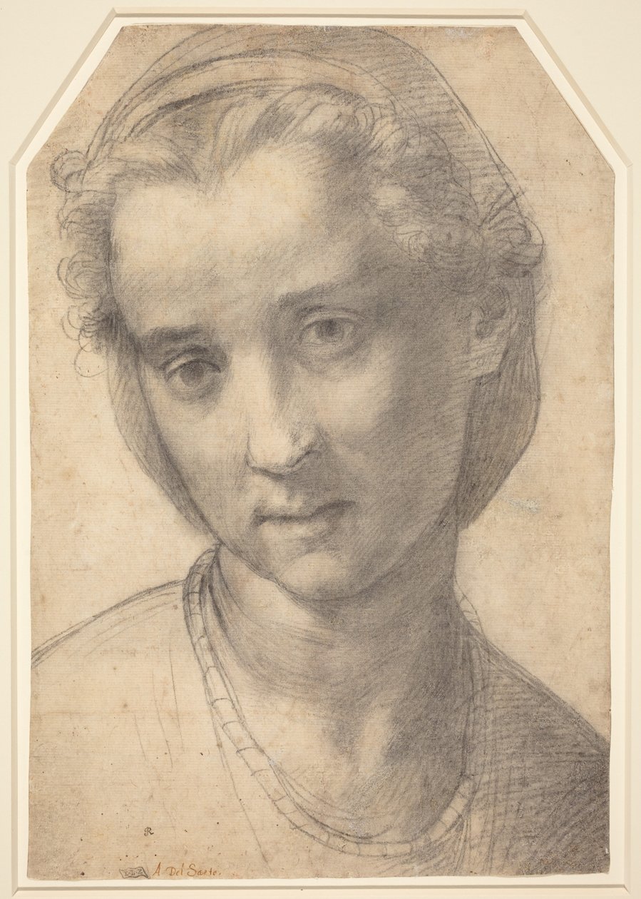 Hlava ženy od Andrea del Sarto