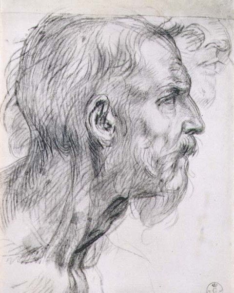 Hlava apoštola, studie pro fresku „Poslední večeře“ v klášteře San Salvi, Florencie, kolem 1520-25 (uhlí) od Andrea del Sarto