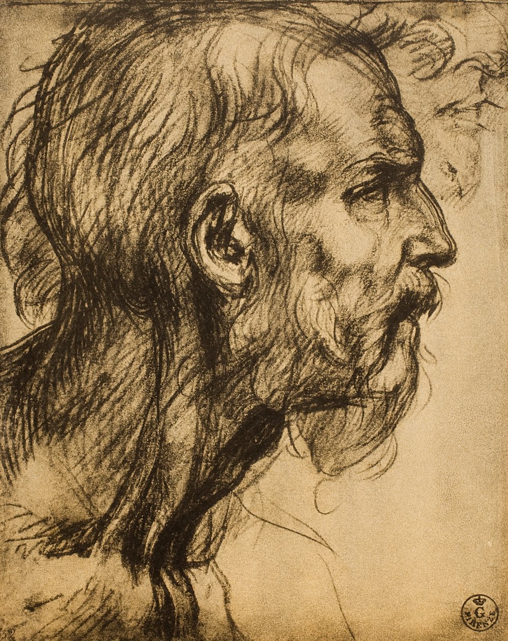 Hlava proroka Zachariáše od Andrea del Sarto