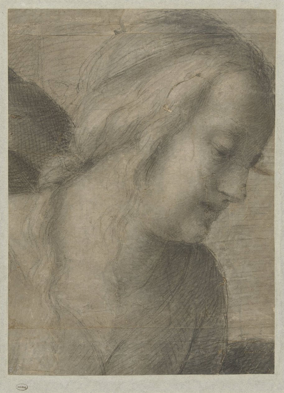 Hlava Marie v adoraci od Andrea del Sarto