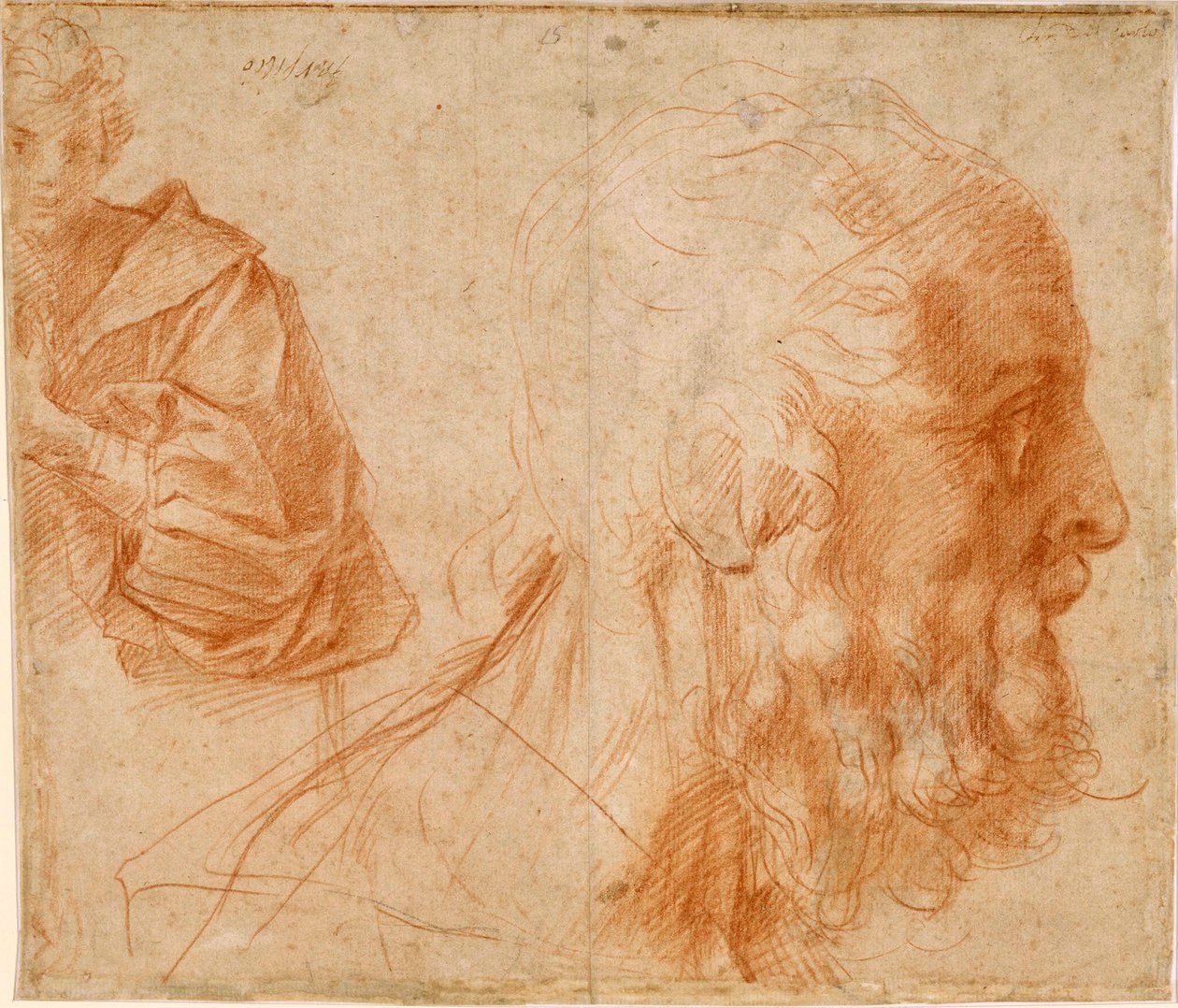 ""Mladý muž a hlava starého muže, pravděpodobně Homer"" (Mládež a hlava starého muže (Homér?)) Kresba červenou křídou Andrea del Sarto (1486-1531) Rozměr 23,9x27,7 cm Studie sangvinik na papíře cca 1521 Staatliche Museen, Berlín od Andrea del Sarto
