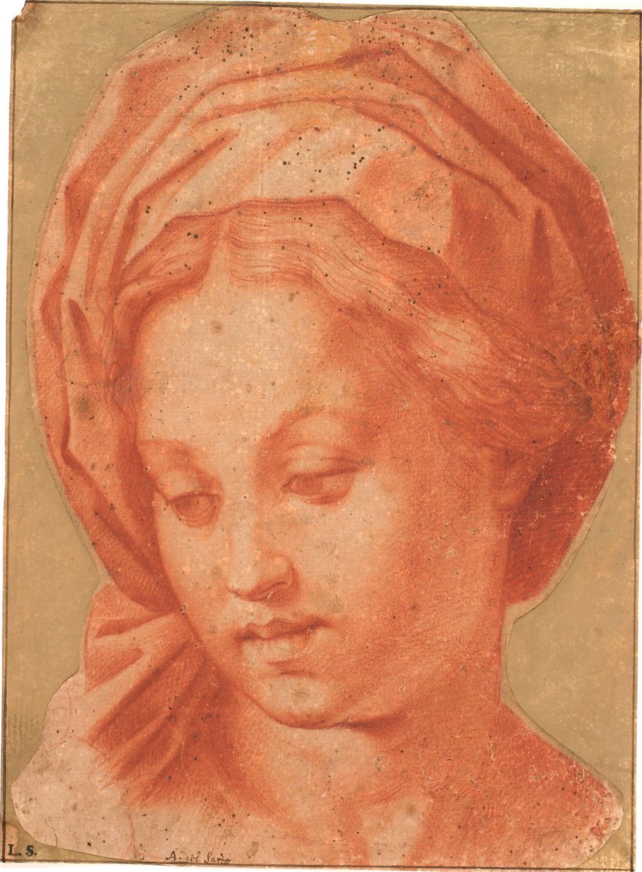 Borghese Madonna od Andrea del Sarto