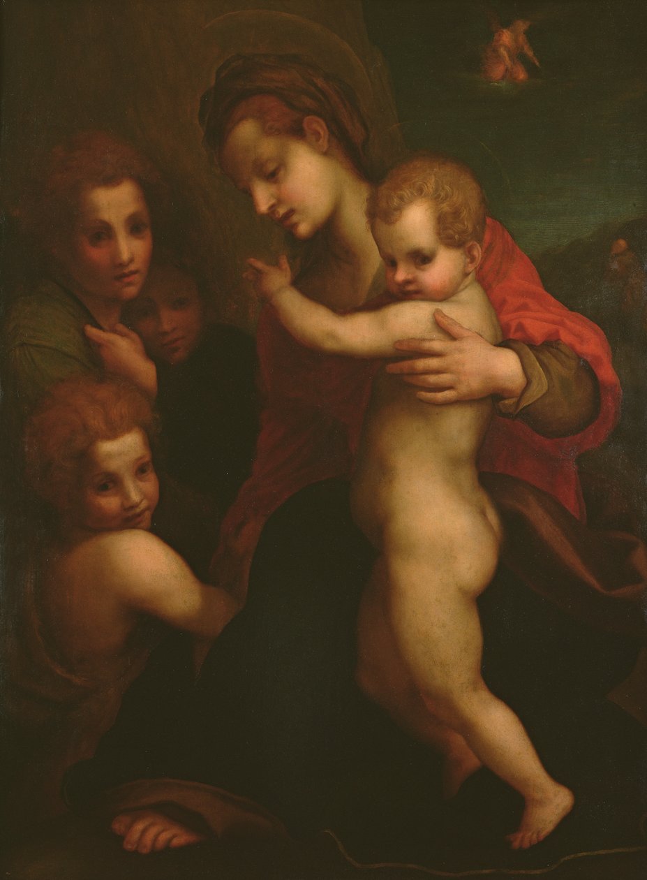 Madona s dítětem, svatý Jan a dva andělé od Andrea del Sarto