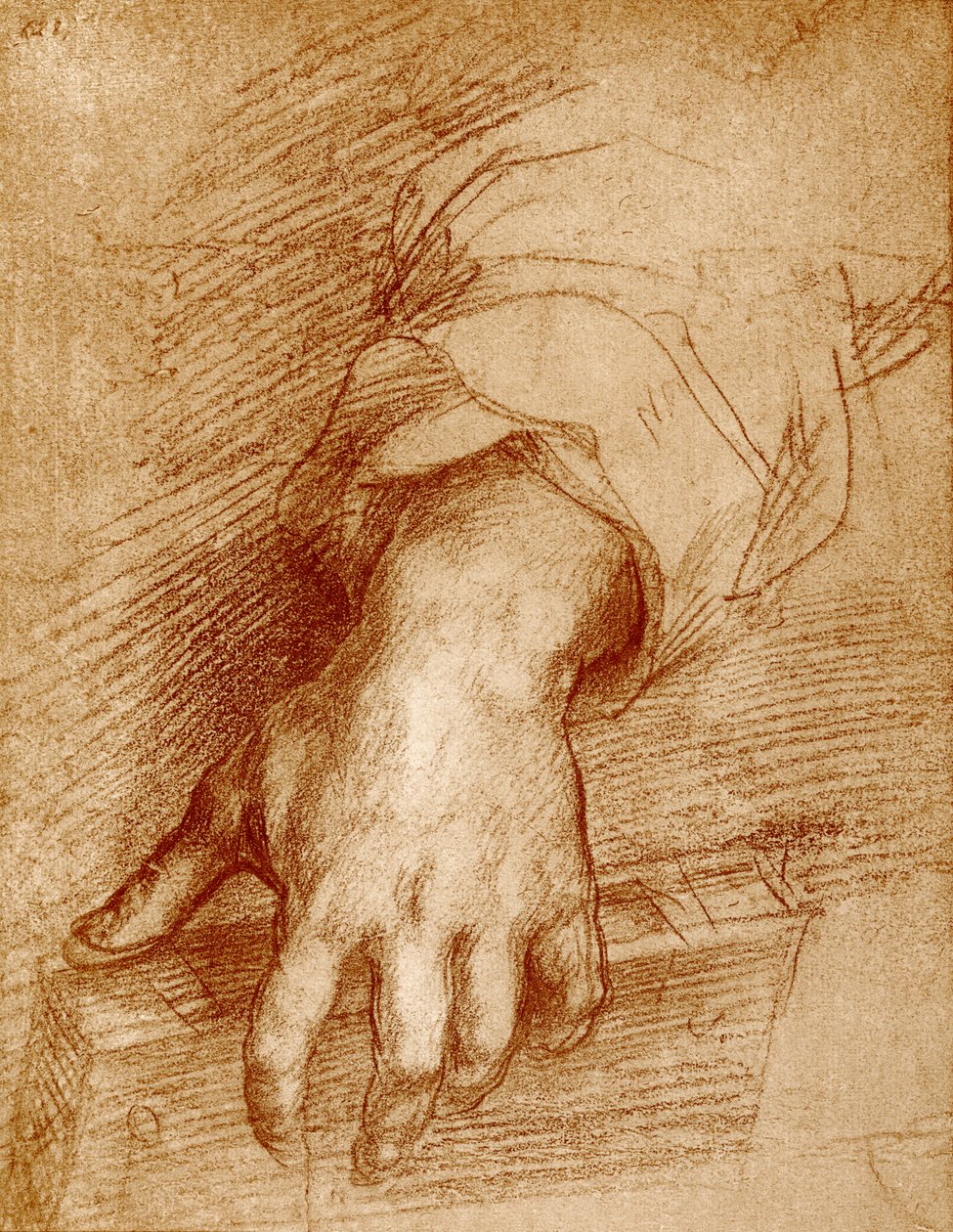 Madonna ruka s knihou od Andrea del Sarto