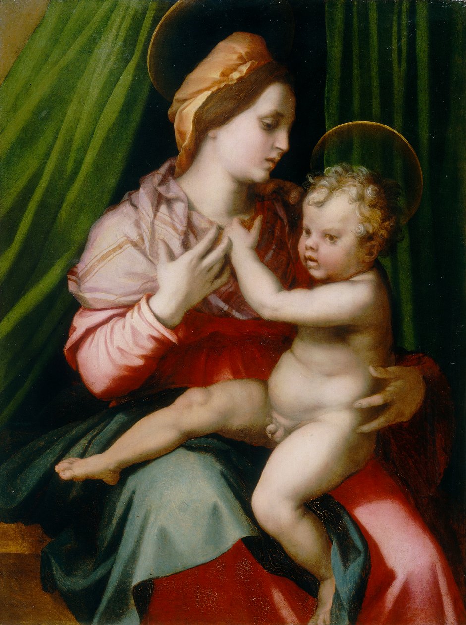 Madona s dítětem, obraz Andrea del Sarto, konzervovaný v galerii Palatine v paláci Pitti ve Florencii od Andrea del Sarto