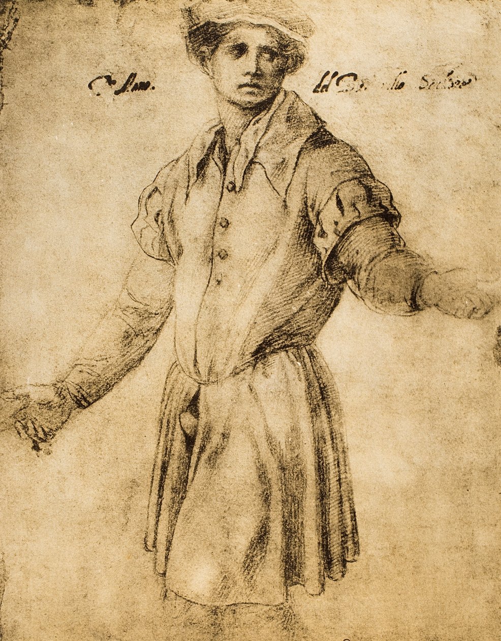 Portrét mladého Florenťana od Andrea del Sarto