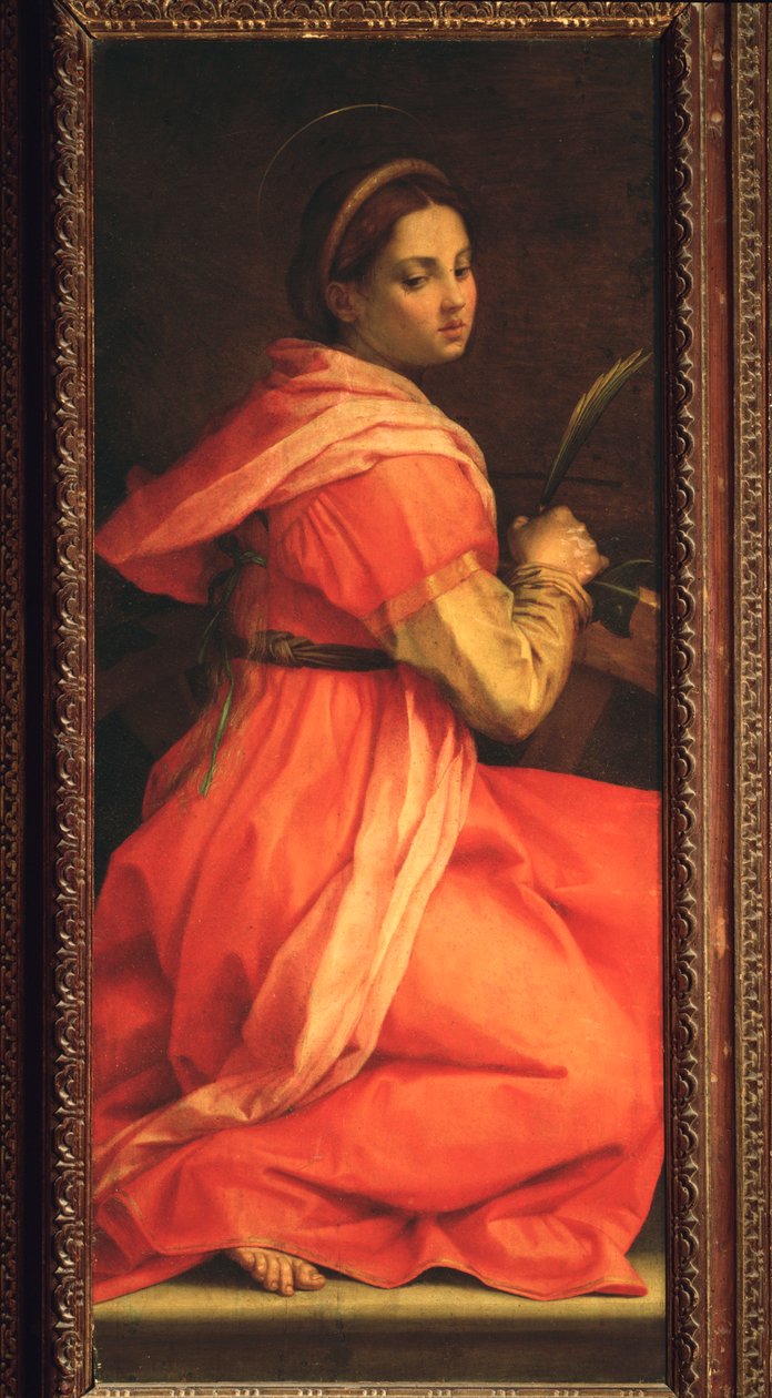 Svatá Kateřina Alexandrijská, oltář sv. Anežky (obraz, 1525-1528) od Andrea del Sarto