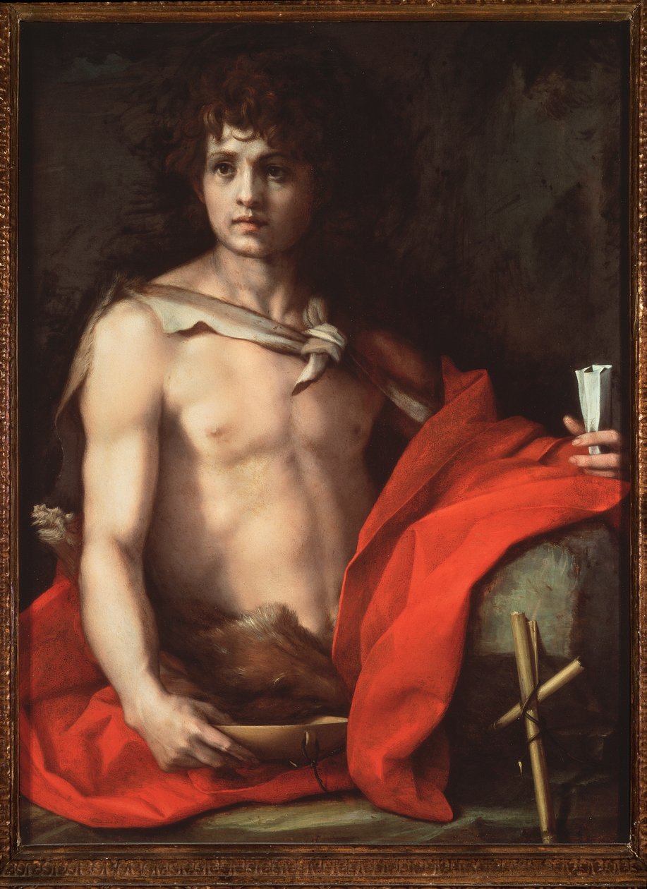 Svatý Jan Křtitel (Malba od Andrea del Sarto