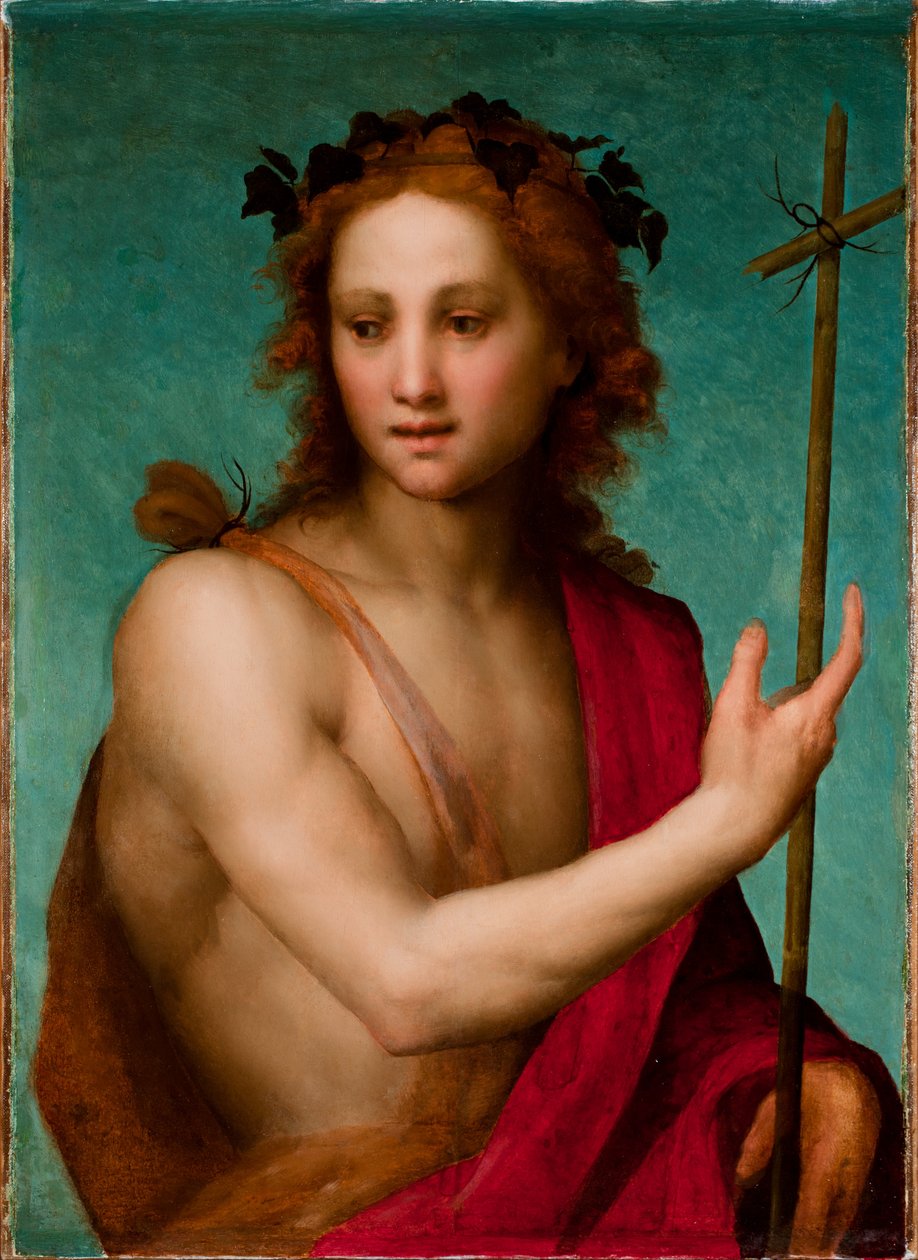St. John the Baptist, c.1517 (olej na desce přenesené na plátno) od Andrea del Sarto