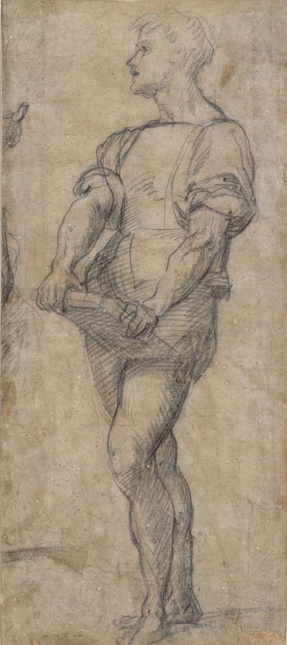 Stojící mladík držící knihu, cca 1515 od Andrea del Sarto
